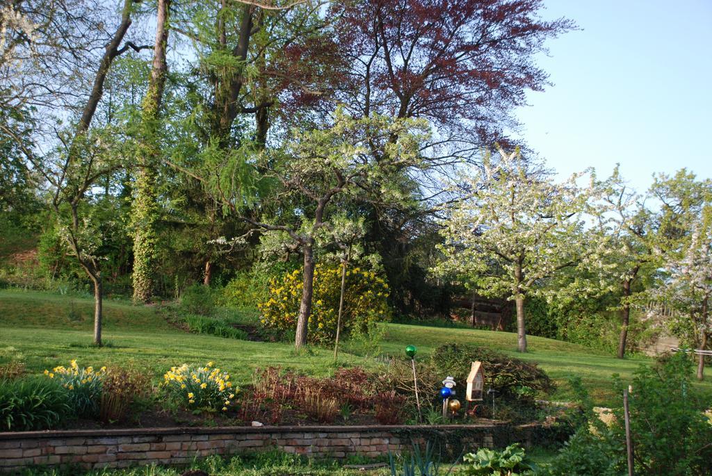 Villa Les Bleuets Scharrachbergheim-Irmstett Habitación foto